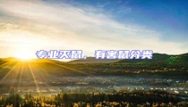 專業滅鼠,有害鼠分類