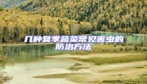 幾種夏季蔬菜常見害蟲的防治方法