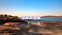 怎樣滅老鼠