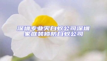 深圳專業(yè)滅白蟻公司深圳家庭裝修防白蟻公司