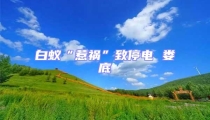 白蟻“惹禍”致停電 婁底