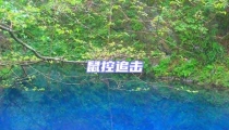 鼠控追擊