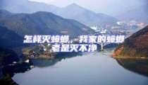 怎樣滅蟑螂,我家的蟑螂老是滅不凈