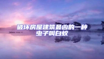 破壞房屋建筑最兇的一種蟲子叫白蟻
