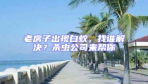 老房子出現(xiàn)白蟻,找誰解決?殺蟲公司來幫你