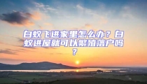 白蟻飛進家里怎么辦?白蟻進屋就可以繁殖落戶嗎?