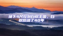 地下4尺挖到白蟻王國,白蟻后活了40年
