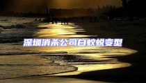 深圳消殺公司白蟻蛻變型