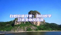 白蟻價(jià)值開發(fā):向白蟻學(xué)習(xí)造生物反應(yīng)器