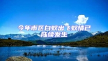 今年市區白蟻出飛蟻情已陸續發生
