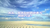 木頭、林木白蟻的危害與預防方法？
