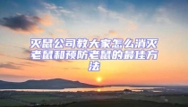 滅鼠公司教大家怎么消滅老鼠和預防老鼠的最佳方法