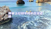 婚宴上紅燒牛肉中吃出老鼠