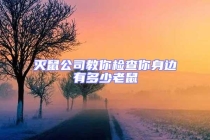 滅鼠公司教你檢查你身邊有多少老鼠