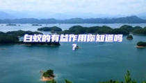 白蟻的有益作用你知道嗎?
