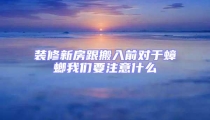 裝修新房跟搬入前對于蟑螂我們要注意什么