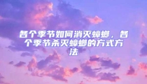 各個(gè)季節(jié)如何消滅蟑螂,各個(gè)季節(jié)殺滅蟑螂的方式方法
