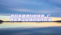 昔日農都遭白蟻侵襲 廣西農事試驗場舊址待修繕
