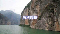 消滅蟑螂
