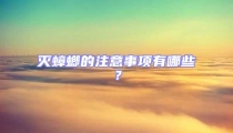滅蟑螂的注意事項有哪些?