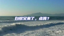 白蟻又來了,點算?
