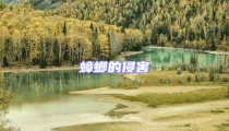 蟑螂的侵害