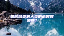 家棲鼠類對人類的危害有哪些?