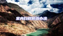 室內(nèi)白蟻防治辦法
