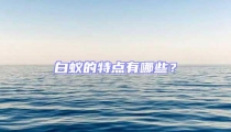 白蟻的特點有哪些?