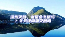 深圳滅鼠,老鼠會冬眠嗎?冬天還需要滅鼠嗎