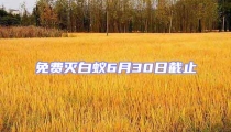 免費滅白蟻6月30日截止