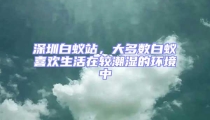 深圳白蟻站,大多數白蟻喜歡生活在較潮濕的環境中