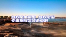 白蟻集中爆發 白蟻防治專家提醒勿噴殺蟲劑