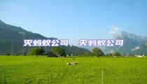 滅螞蟻公司,滅螞蟻公司