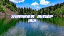 發現白蟻危害 應該保護現場