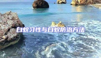 白蟻習性與白蟻防治方法