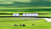 滅鼠、殺蟲的原則