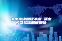 家里害蟲困擾不斷 殺蟲公司幫你徹底清除