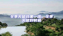 冬季滅鼠效果一流,冬季滅鼠好時機