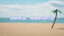 白蟻防治:臭蟲防治方法