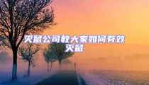 滅鼠公司教大家如何有效滅鼠