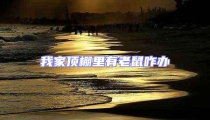 我家頂棚里有老鼠咋辦