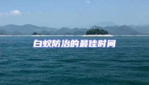 白蟻防治的最佳時間
