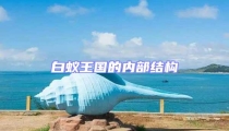 白蟻王國的內部結構