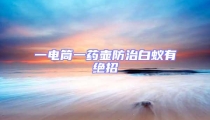 一電筒一藥壺防治白蟻有絕招