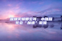 深圳滅蟑螂公司：小強踩死會“加速”繁殖