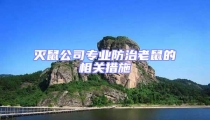 滅鼠公司專業防治老鼠的相關措施