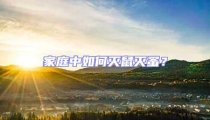 家庭中如何滅鼠滅蚤?