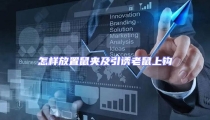 怎樣放置鼠夾及引誘老鼠上鉤