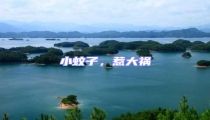 小蚊子,惹大禍